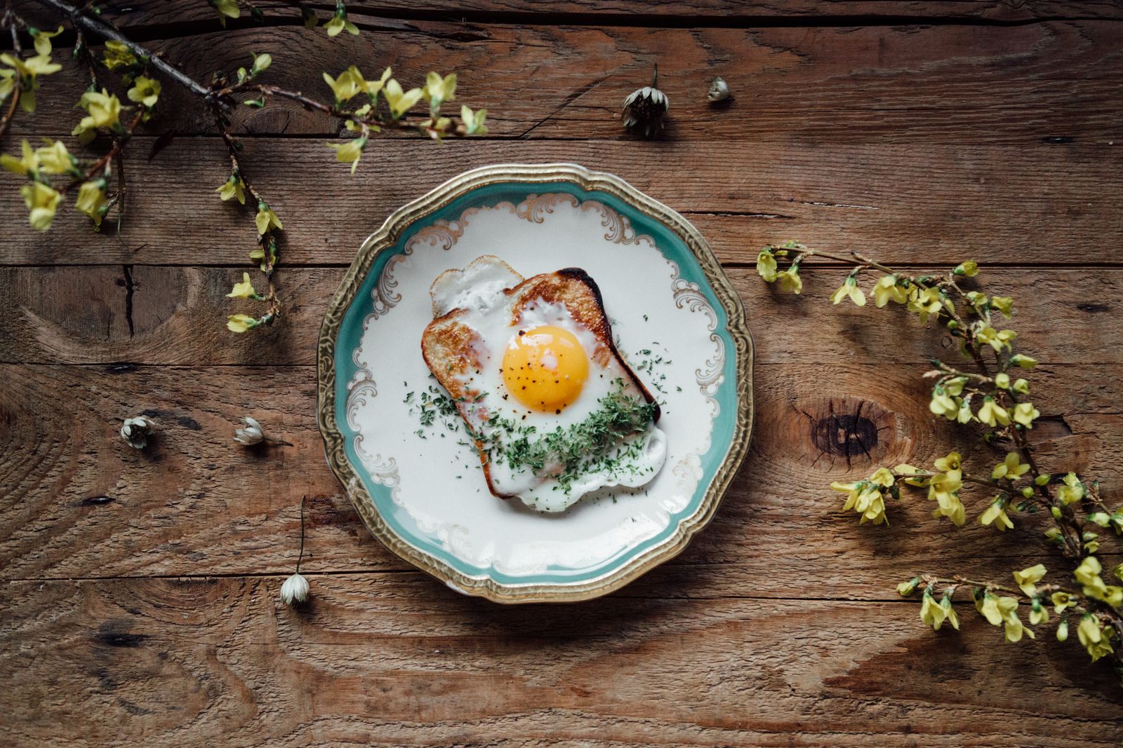 Plate of food styled and photographed in daylight