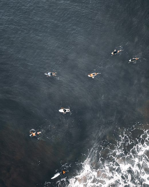 Drone view of unrecognizable people swimming on surfboards in water of rippling ocean