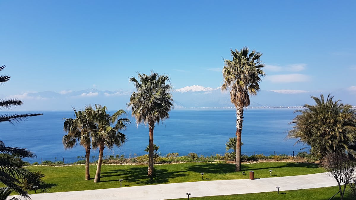 Scientist working with cells under a microscope in a laboratory