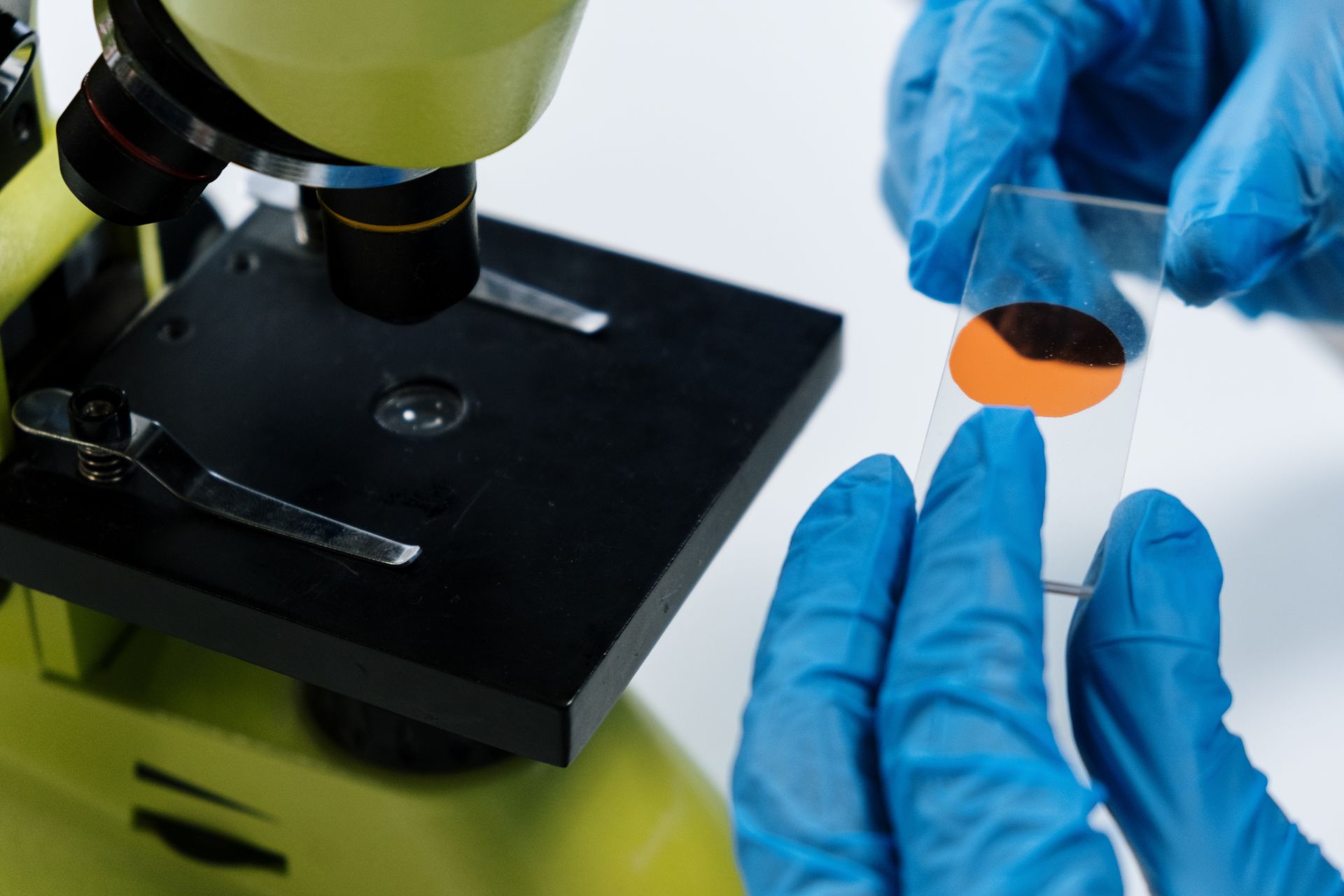Microscopio de laboratorio e investigacion de celulas sanguineas