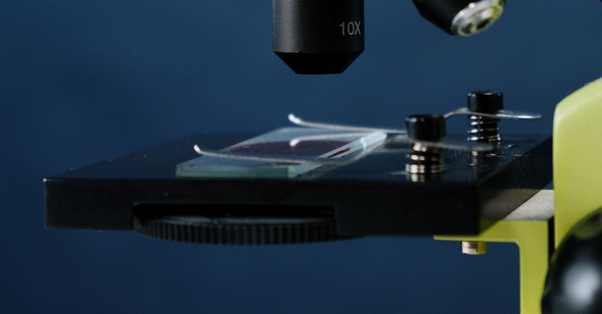 Microscope Self Image Close-up of a Microscope · Free Stock Photo