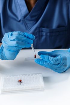 一名戴着蓝色手套的科学家在室内用滴头将血液样本滴在显微镜载玻片上