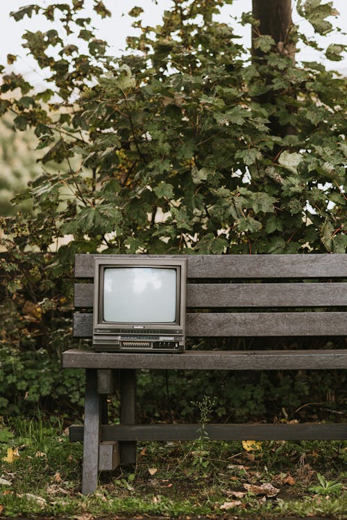 Small old fashioned television placed on wooden bench near deciduous green lush plant in park on street on blurred background