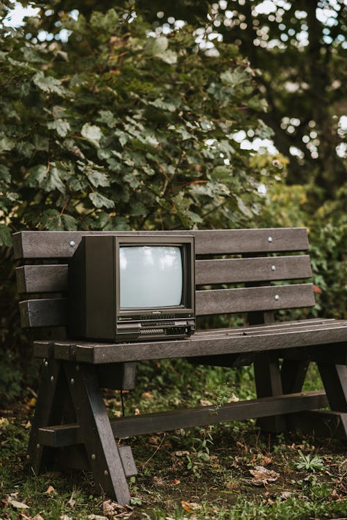 Black small used television placed on wooden bench on grassy ground near deciduous green plant on street against blurred background