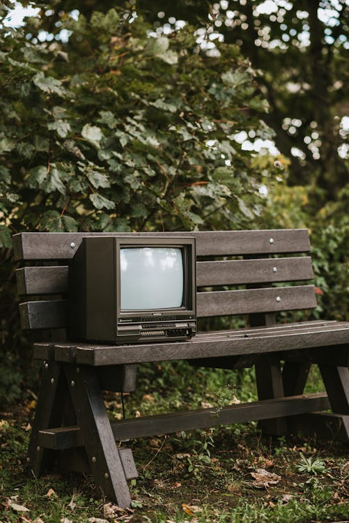 Free Black small used television placed on wooden bench on grassy ground near deciduous green plant on street against blurred background Stock Photo