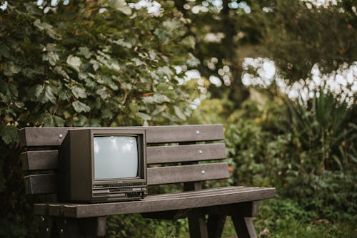 Small black television placed on bench near deciduous green plants with lush foliage in countryside on blurred background in nature