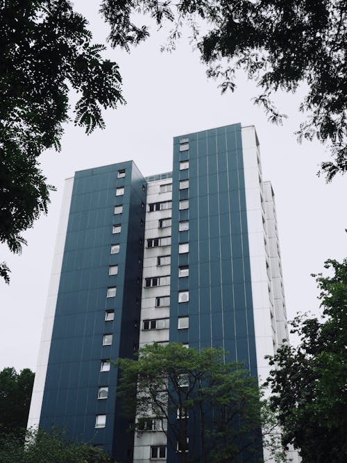 Blue and White High Rise Building near Green Trees
