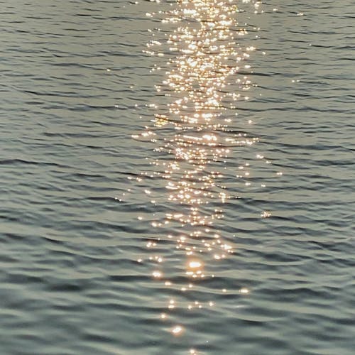 Free stock photo of beach, beach light, calm