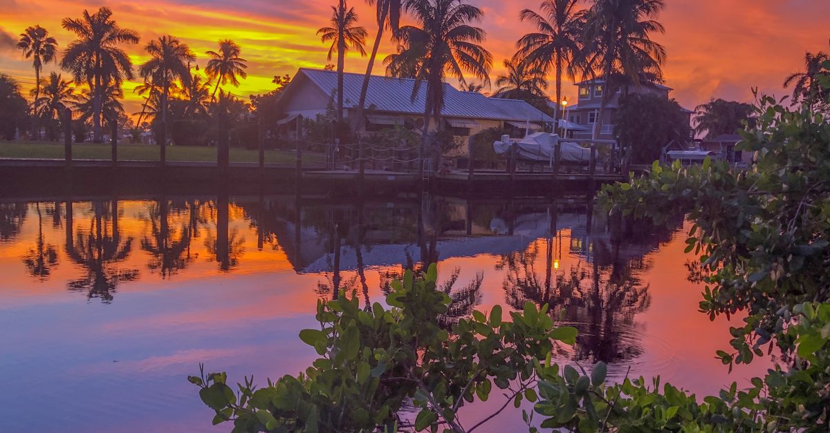 Vibrant sunset over a canal in Florida with palm trees and vivid reflections.