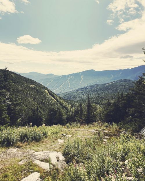 Free Capture of a vibrant, lush mountain landscape under a bright blue sky. Stock Photo