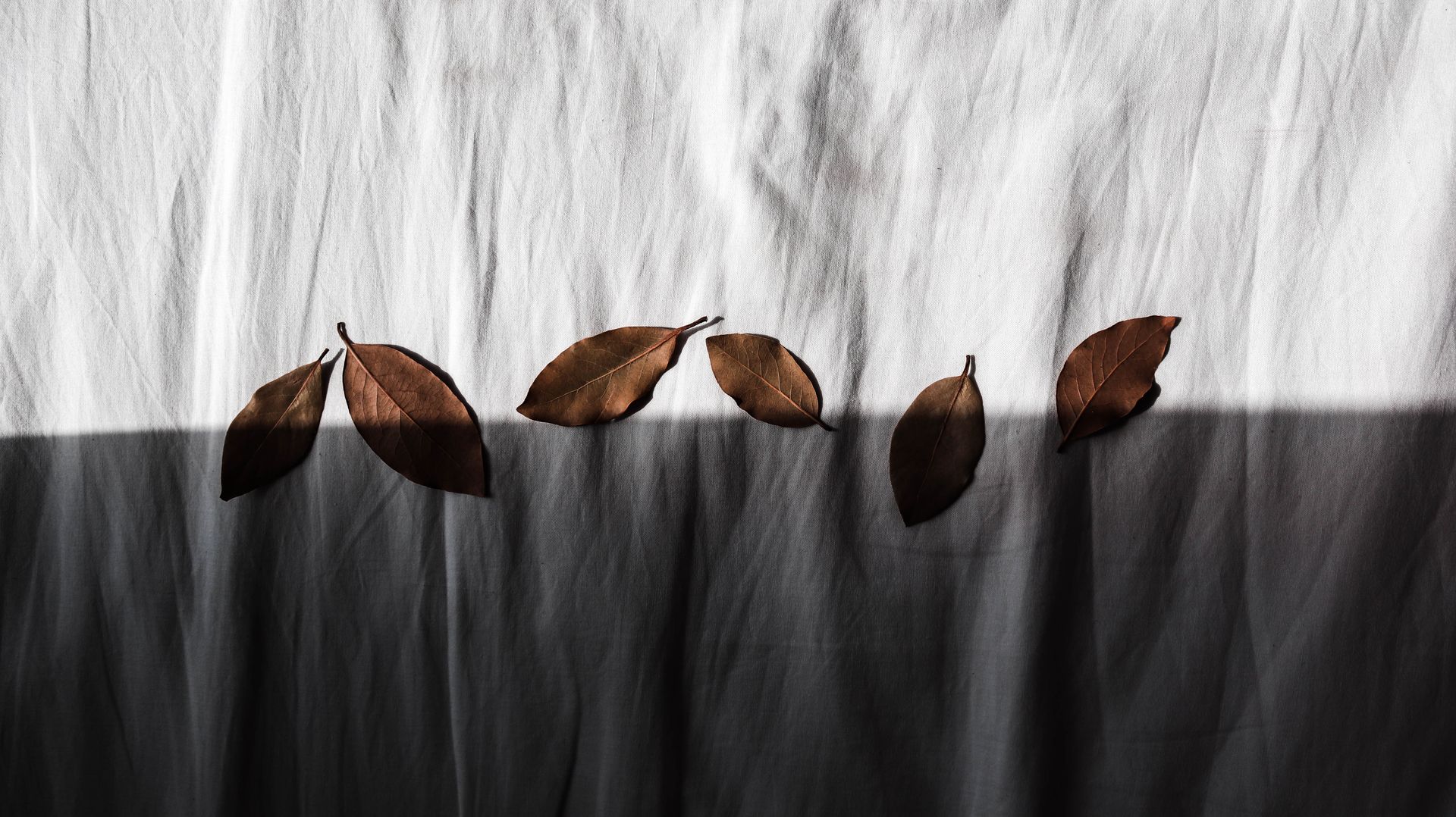A creative still life of dried leaves casting shadows on fabric, offering a minimalist aesthetic.