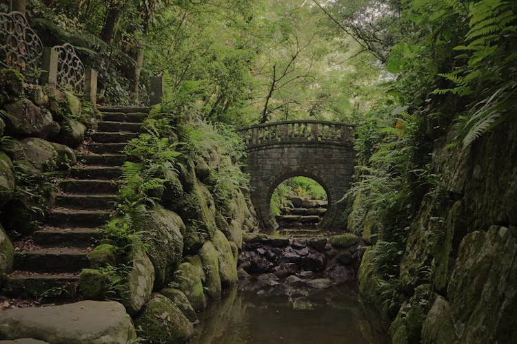 A Bridge On The Tiger Mountain Trail In Nangang