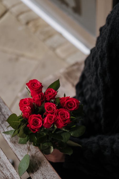 無料 黒のテキスタイルに赤いバラ 写真素材