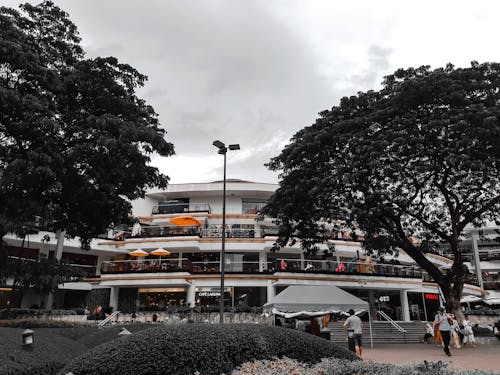 Free stock photo of black, mall Stock Photo