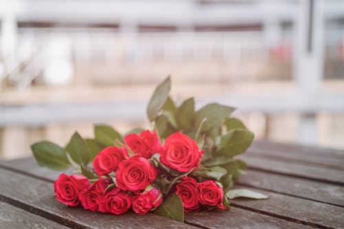 Základová fotografie zdarma na téma aroma, aromatický, čerstvý