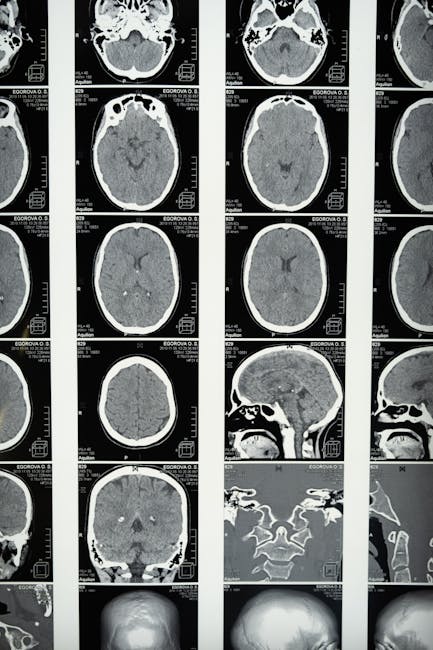 Can The Brain Change And Adapt Throughout Life? 17 Different Perspectives On Addiction And Behavior