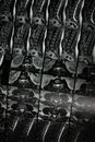 A Medical Imaging Examination of the Spine