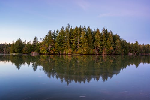 Free Reflection of the Trees on the Water Surface Stock Photo