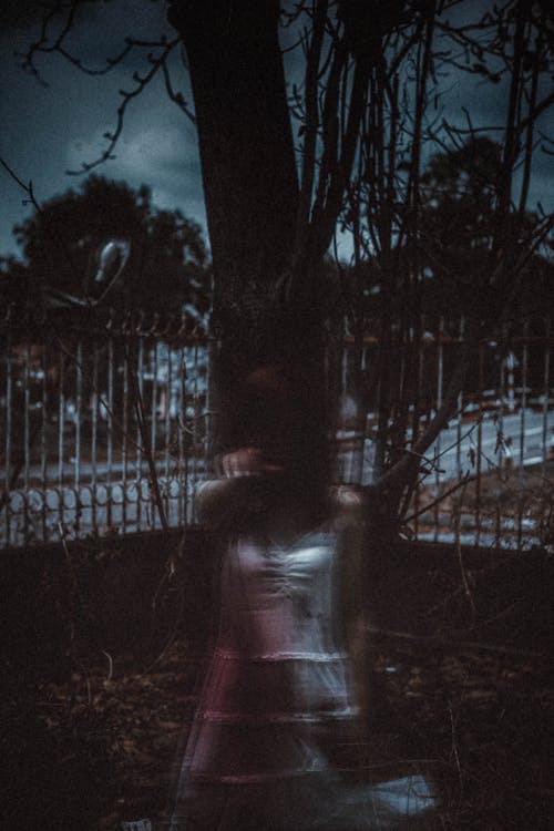 Free Anonymous mysterious ghost woman standing in dark forest at night Stock Photo