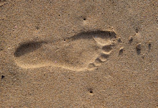 Detailed footprint imprinted on sandy beach surface in Amanzimtoti, capturing texture and tranquility.