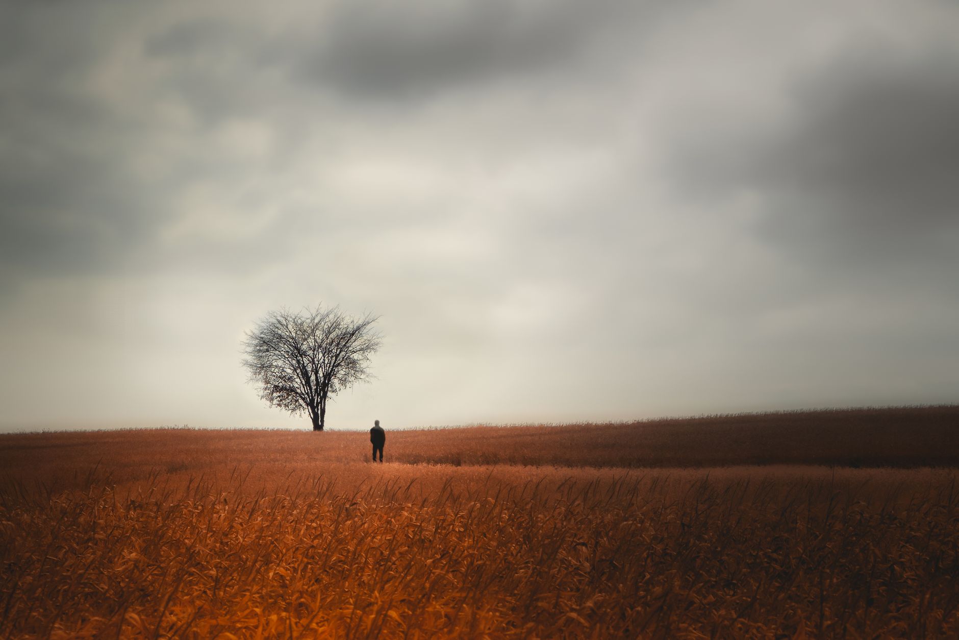 A solitary figure walks through a brown field under a cloudy sky, evoking peace and solitude.