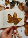 Hand Holding a Brown Maple Leaf