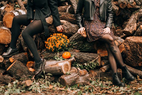 Woman in Black Leather Jacket Sitting on Brown Tree Log