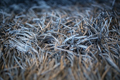 Carpet with fringe