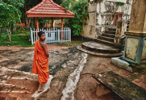 수도승, 스리랑카의 무료 스톡 사진