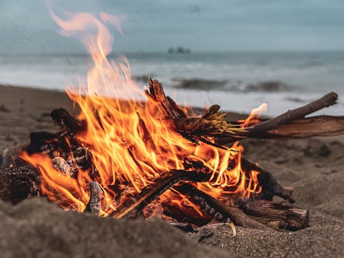 Darmowe zdjęcie z galerii z las, ocean, ogień