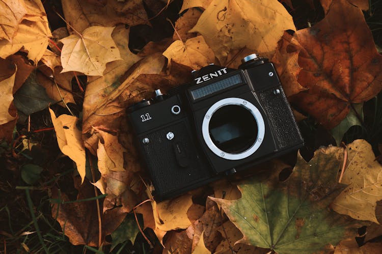 Black Zenit Dslr Camera On Maple Leaves