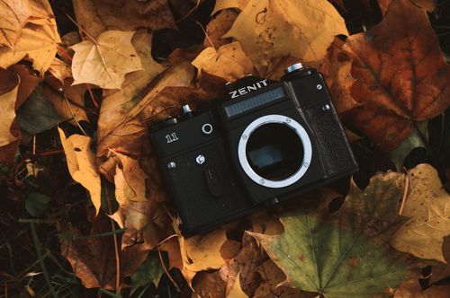 Free Close-up of a classic Zenit camera resting on colorful autumn leaves. Perfect for fall-themed designs. Stock Photo