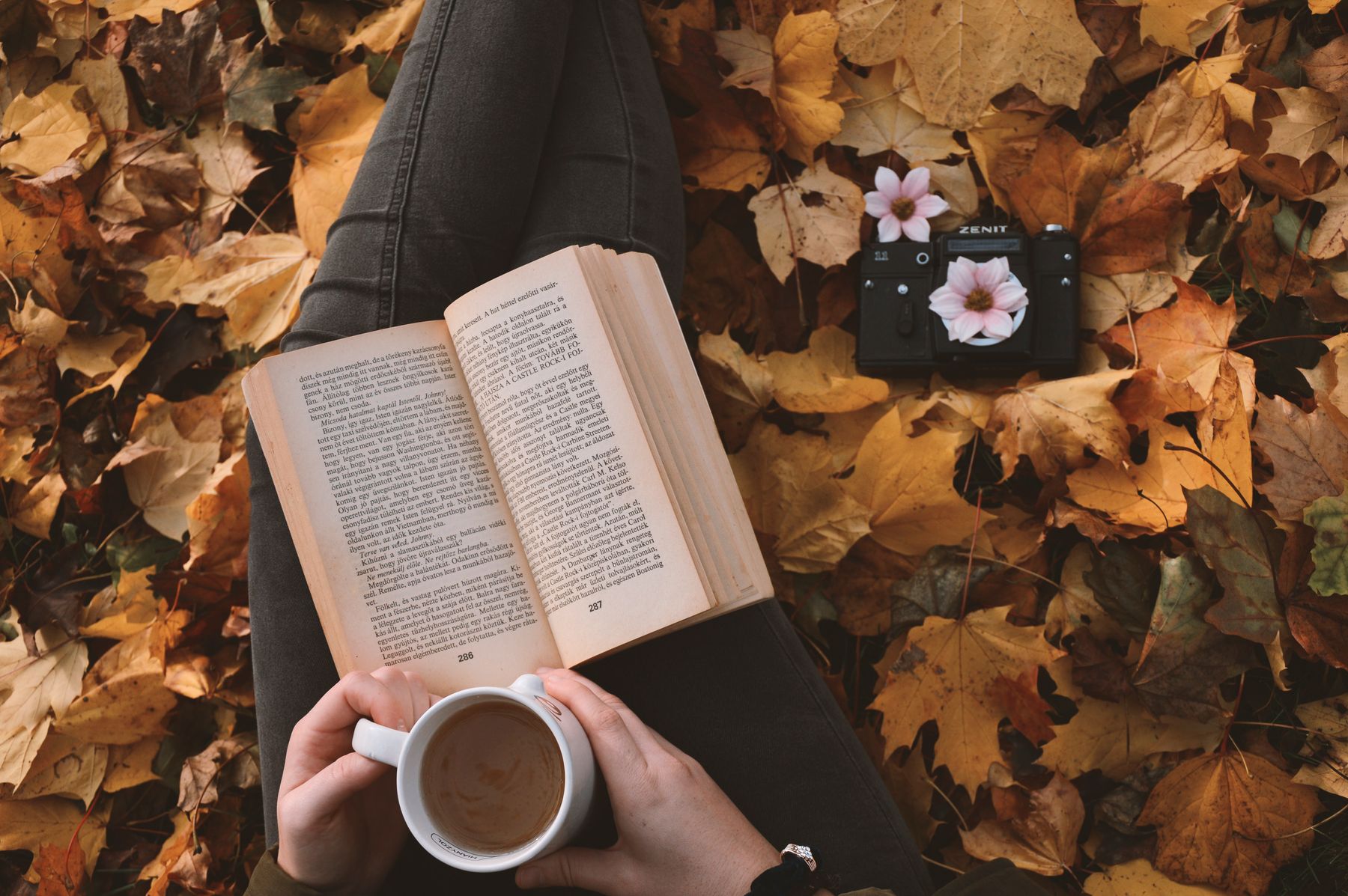 Windsor in Autumn: What to See and Where to Stay