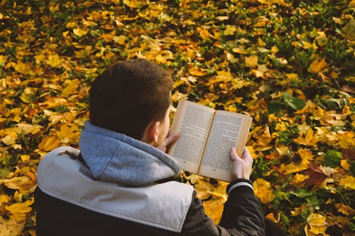 A Man Reading a Book