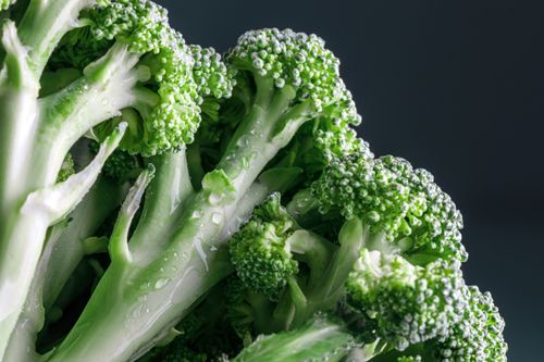 Free Close-up of fresh broccoli florets with water droplets showcasing texture and freshness. Stock Photo