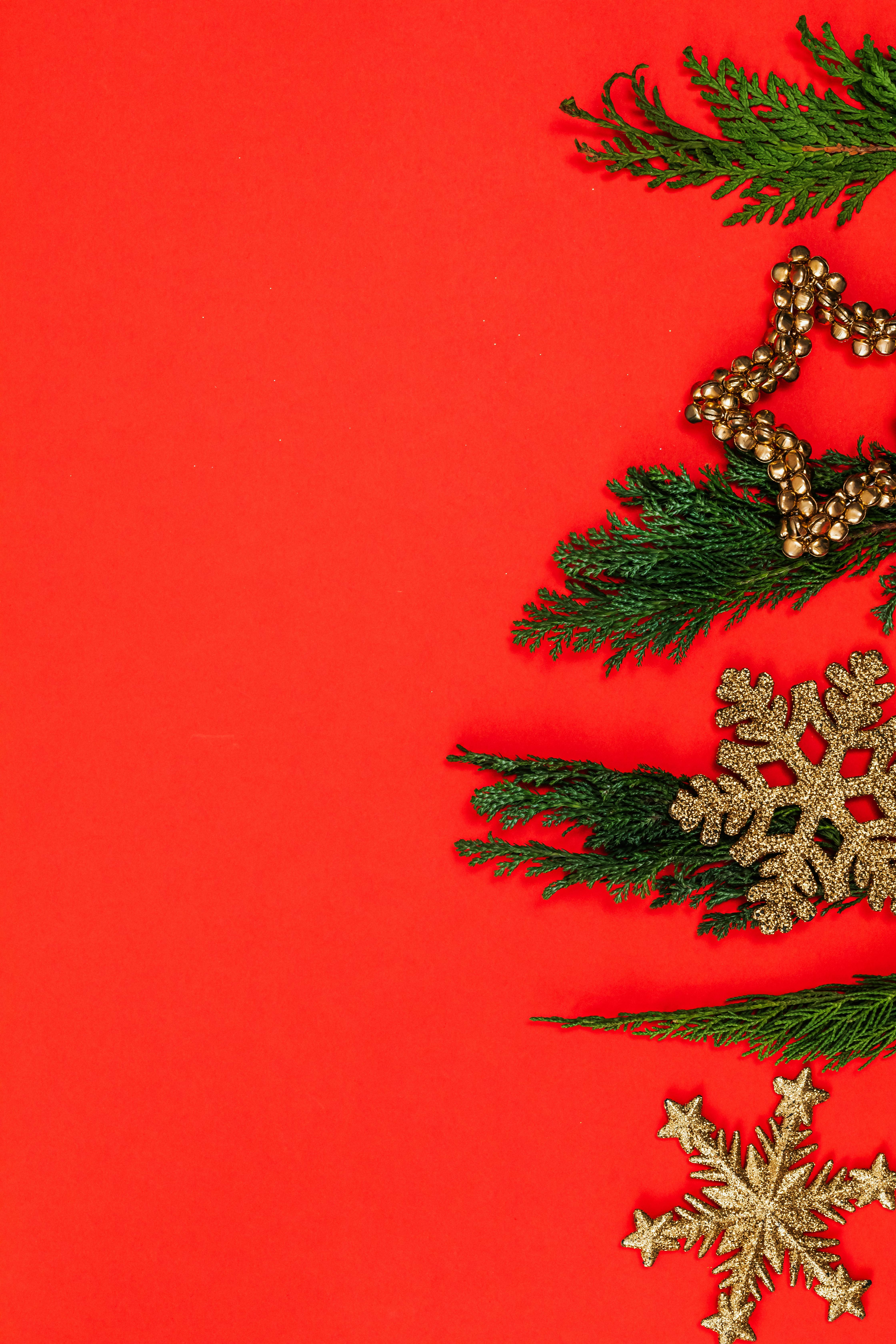 gold christmas decorations and conifer on red background