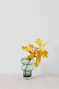 白色背景前，现代花瓶里黄色橡木树枝的极简展示