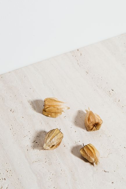 Close-up of organic physalis fruits on a textured light stone background.