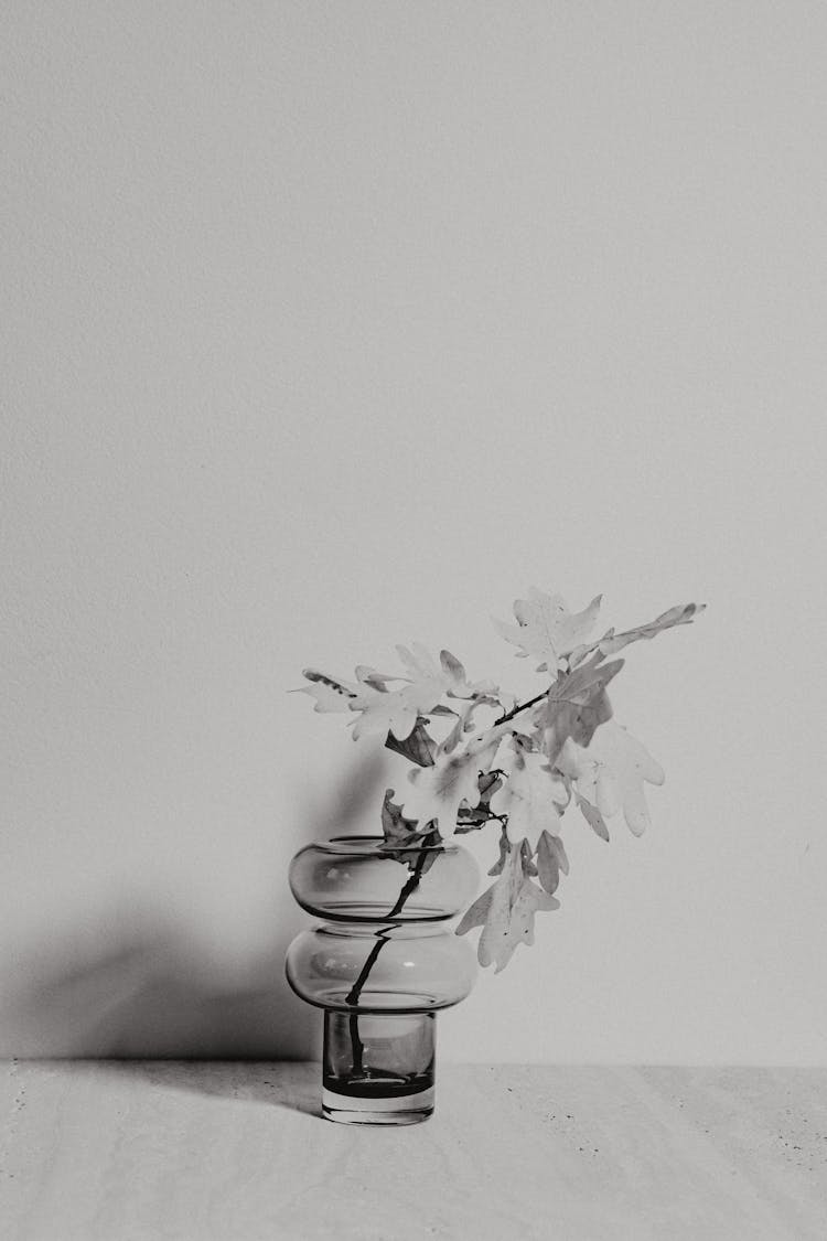 Desaturated Image Of An Oak Branch In A Glass Vase