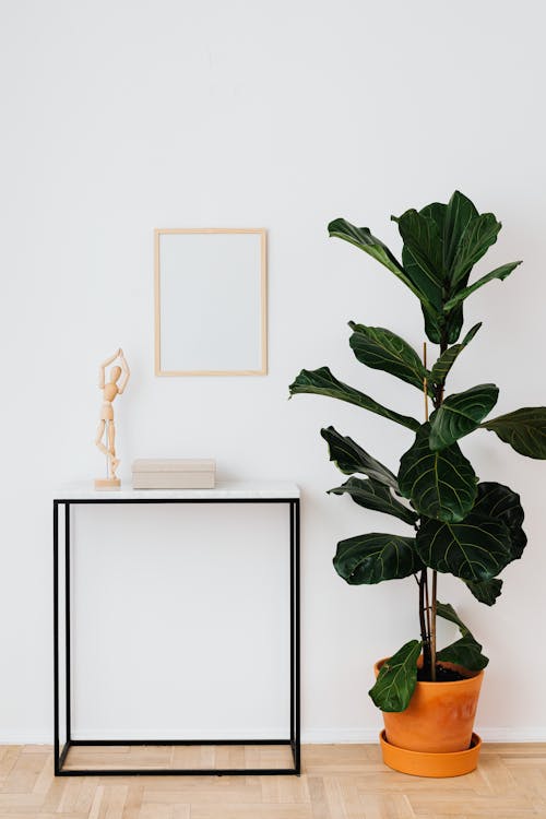 A Frame On White Wall With A Book and Decoration On Table Beside A Potted Plant