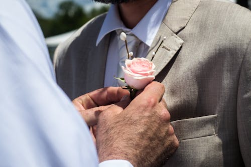 Kostnadsfri bild av bestman, blomma, boutonniere