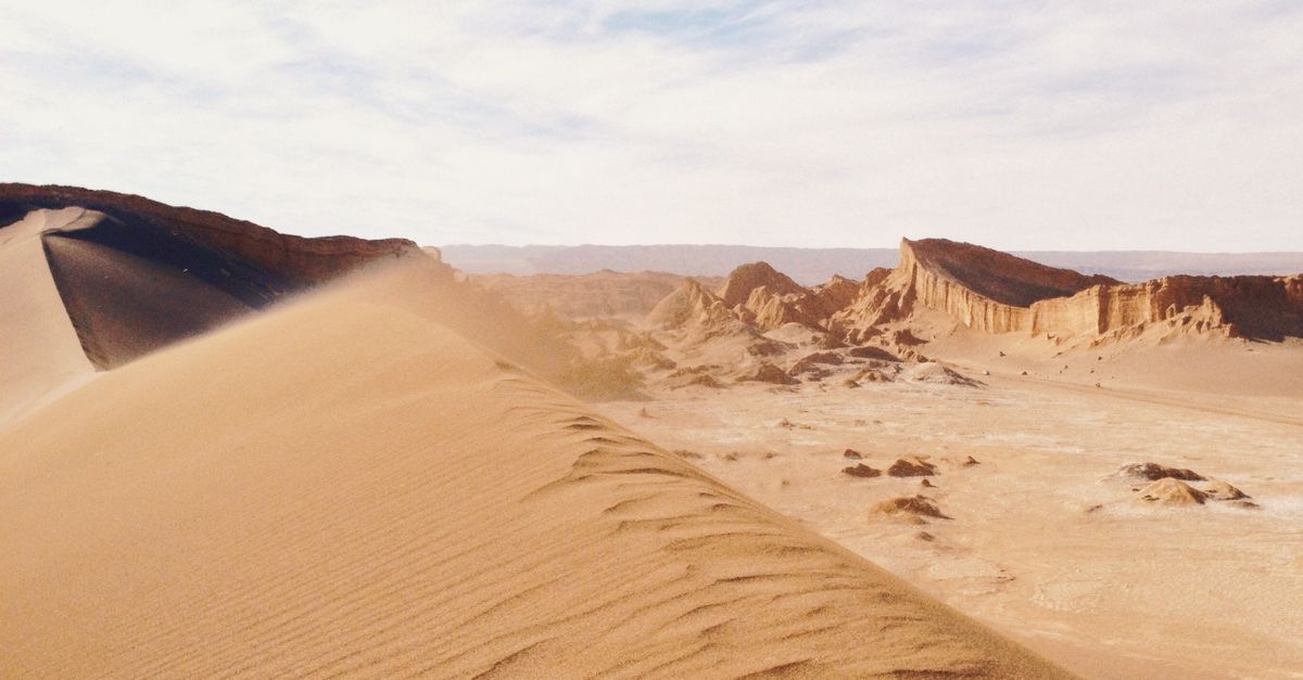 Vida microbiana y animal en 8 desiertos y ambientes extremos Vida microbiana y animal en 8 desiertos y ambientes extremos