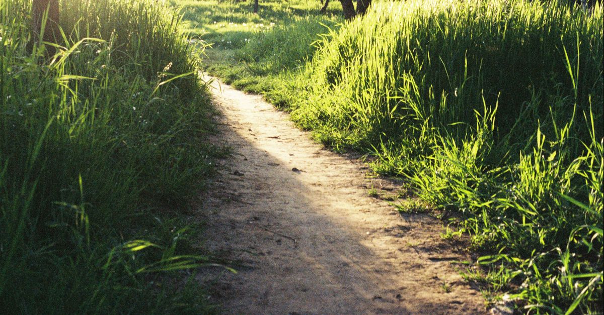 The Path to Community Harmony: Uniting Voices on Discoveryforum.com