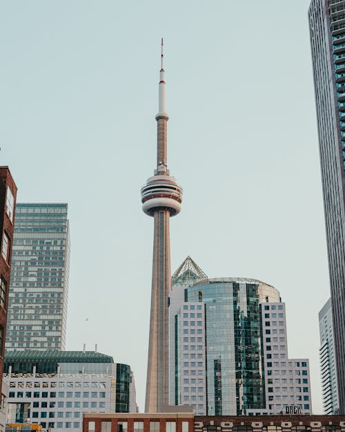 Fotobanka s bezplatnými fotkami na tému budovy, centrum mesta, CN Tower