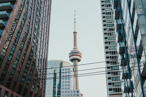 Kostenloses Stock Foto zu architektur, aufnahme von unten, cn turm