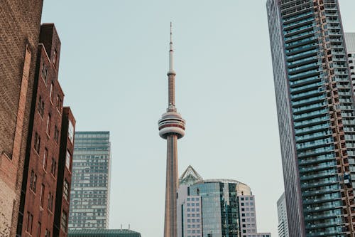 Free The CN Tower in Downtown Toronto Stock Photo