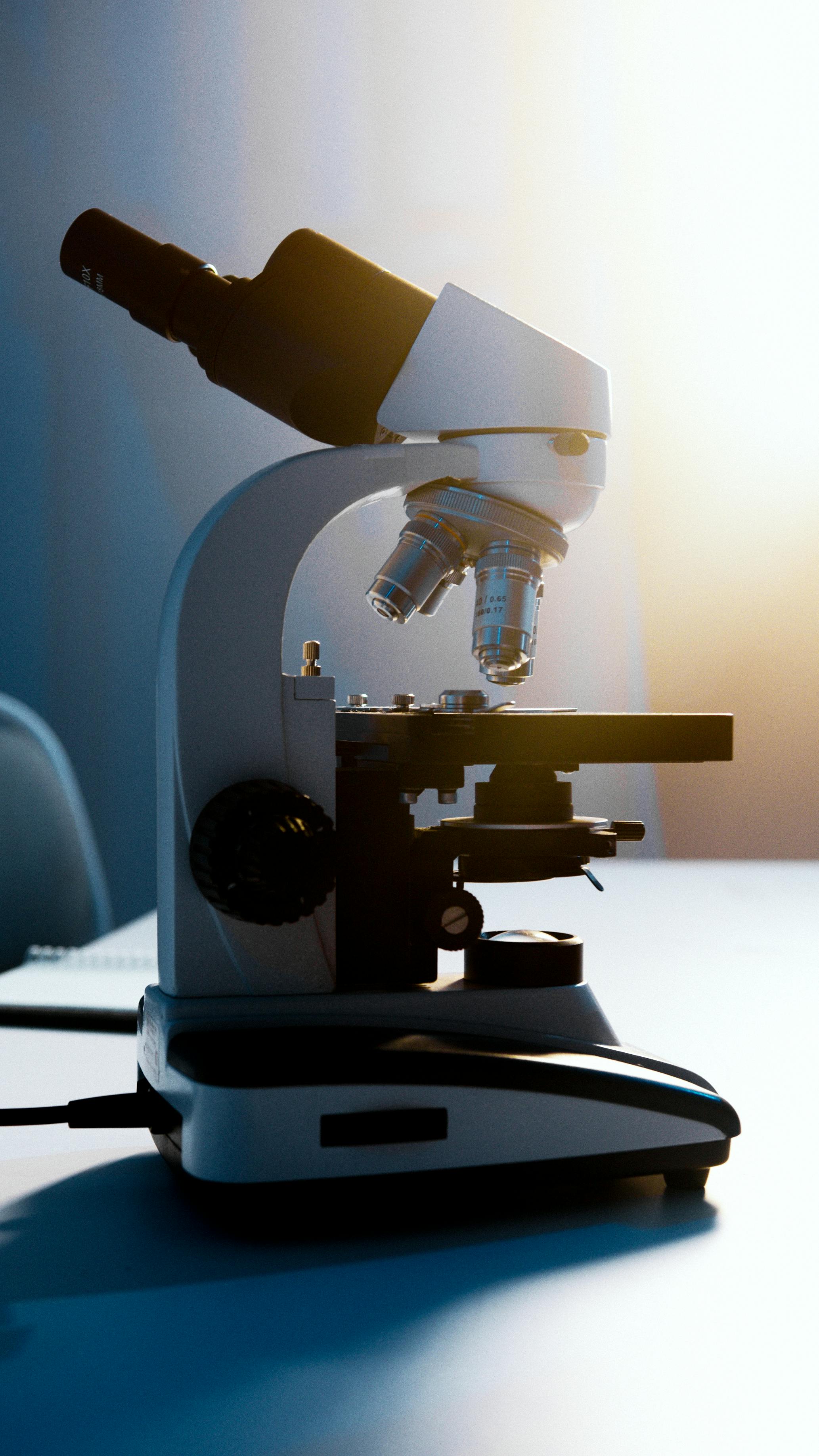 Microscope Photos Download The BEST Free Microscope Stock Photos  HD  Images