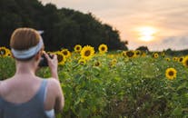 一张女人在美丽日落下的向日葵田中充满活力的照片