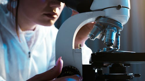 Free Person Looking Through the Microscope Stock Photo