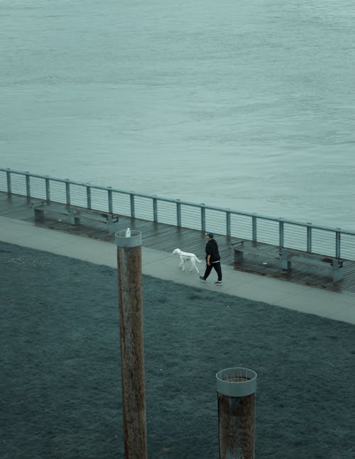 Person Walking The Dog on Gray Paved Pathway Near Sea